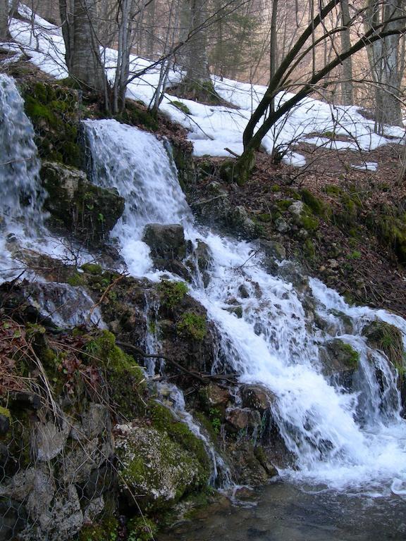מלון אביו Rifugio Monte Baldo חדר תמונה
