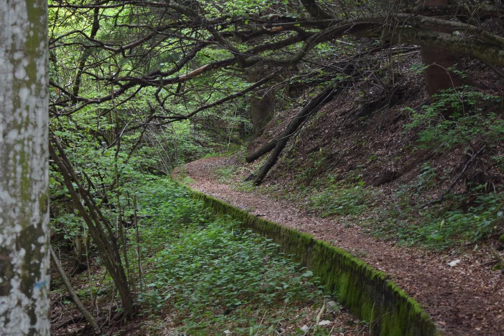 מלון אביו Rifugio Monte Baldo מראה חיצוני תמונה