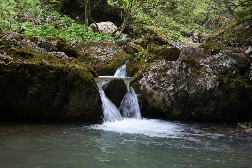מלון אביו Rifugio Monte Baldo מראה חיצוני תמונה